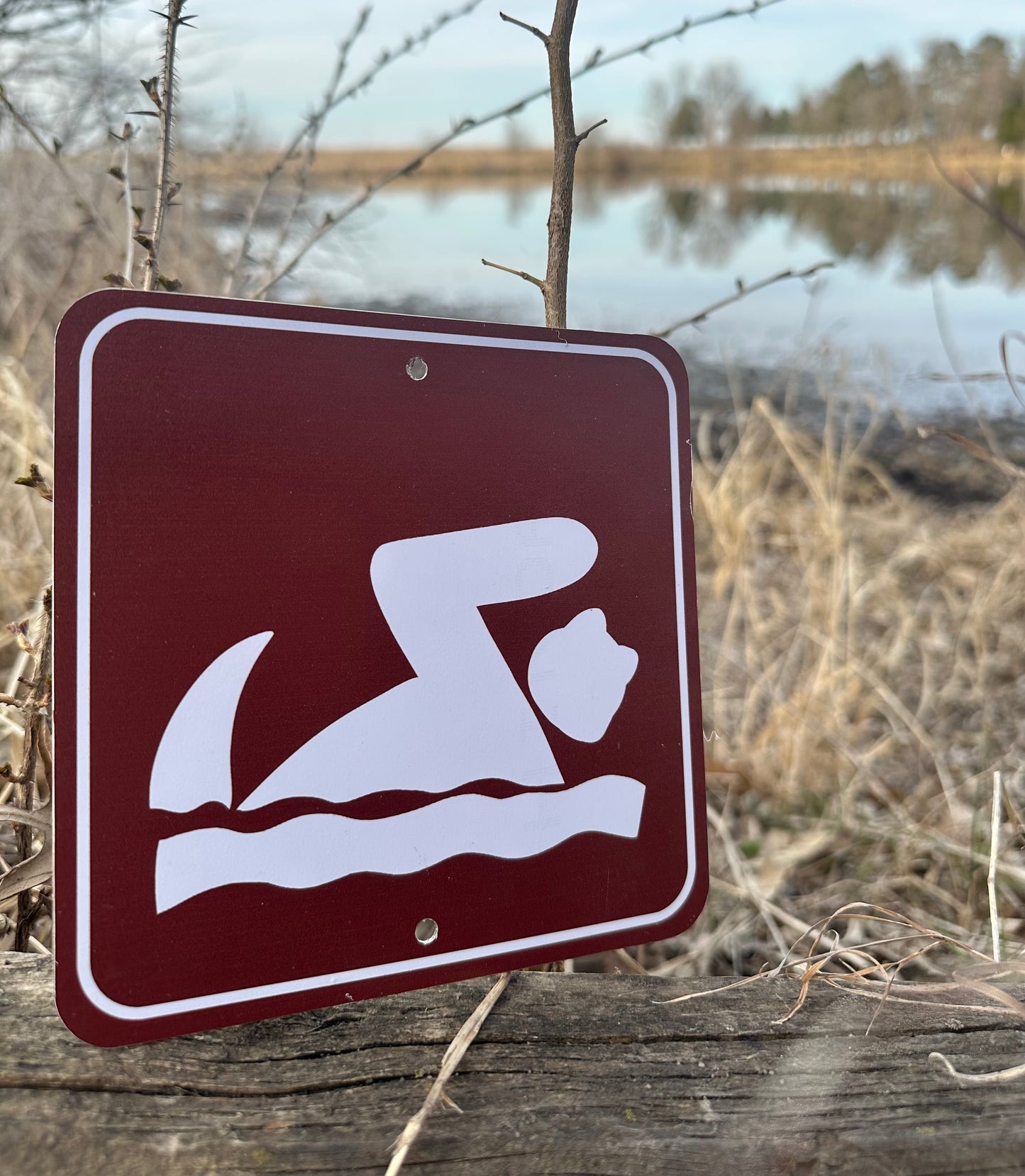 Swimming Metal Sign