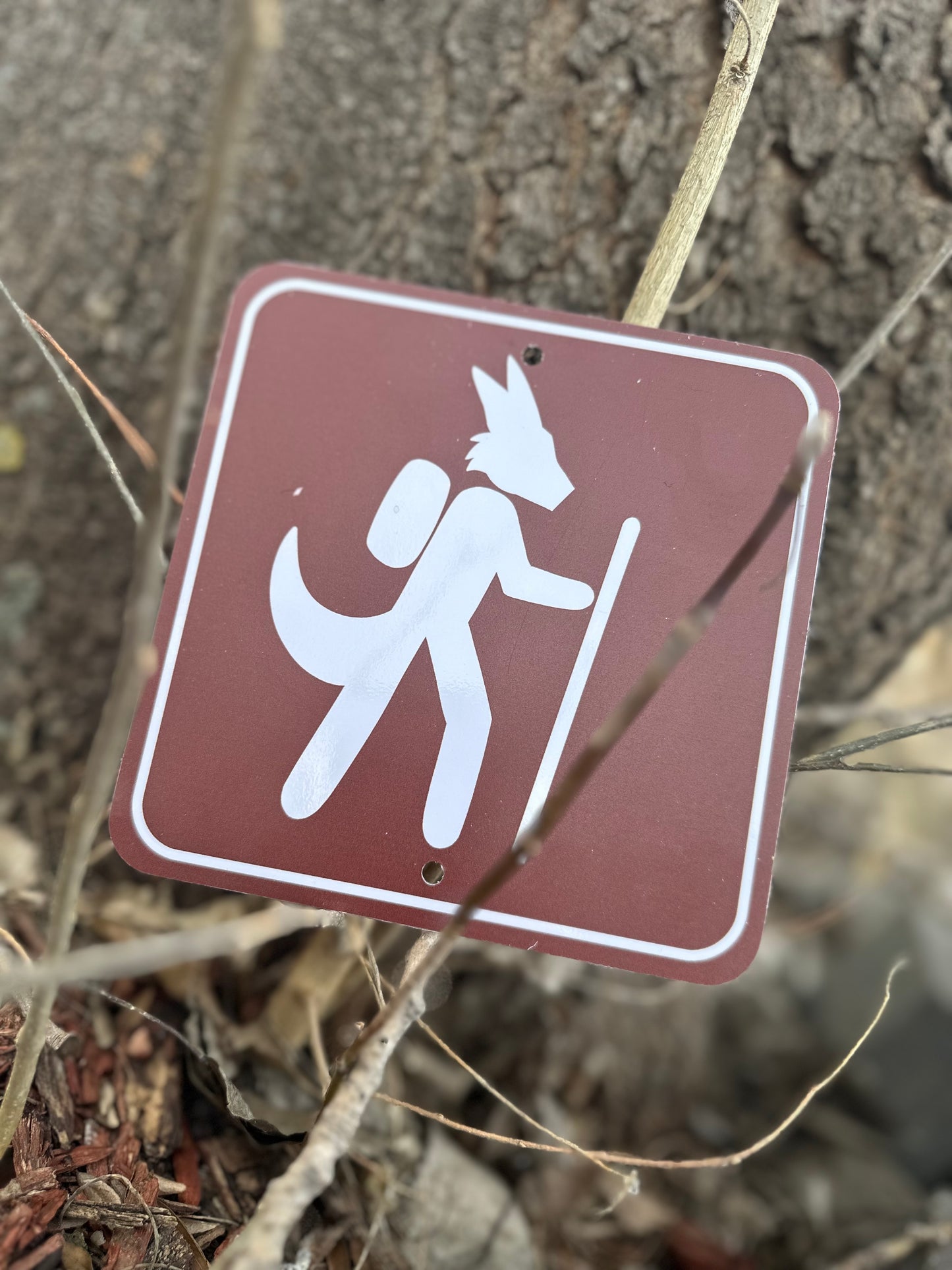 Hiking Metal Sign