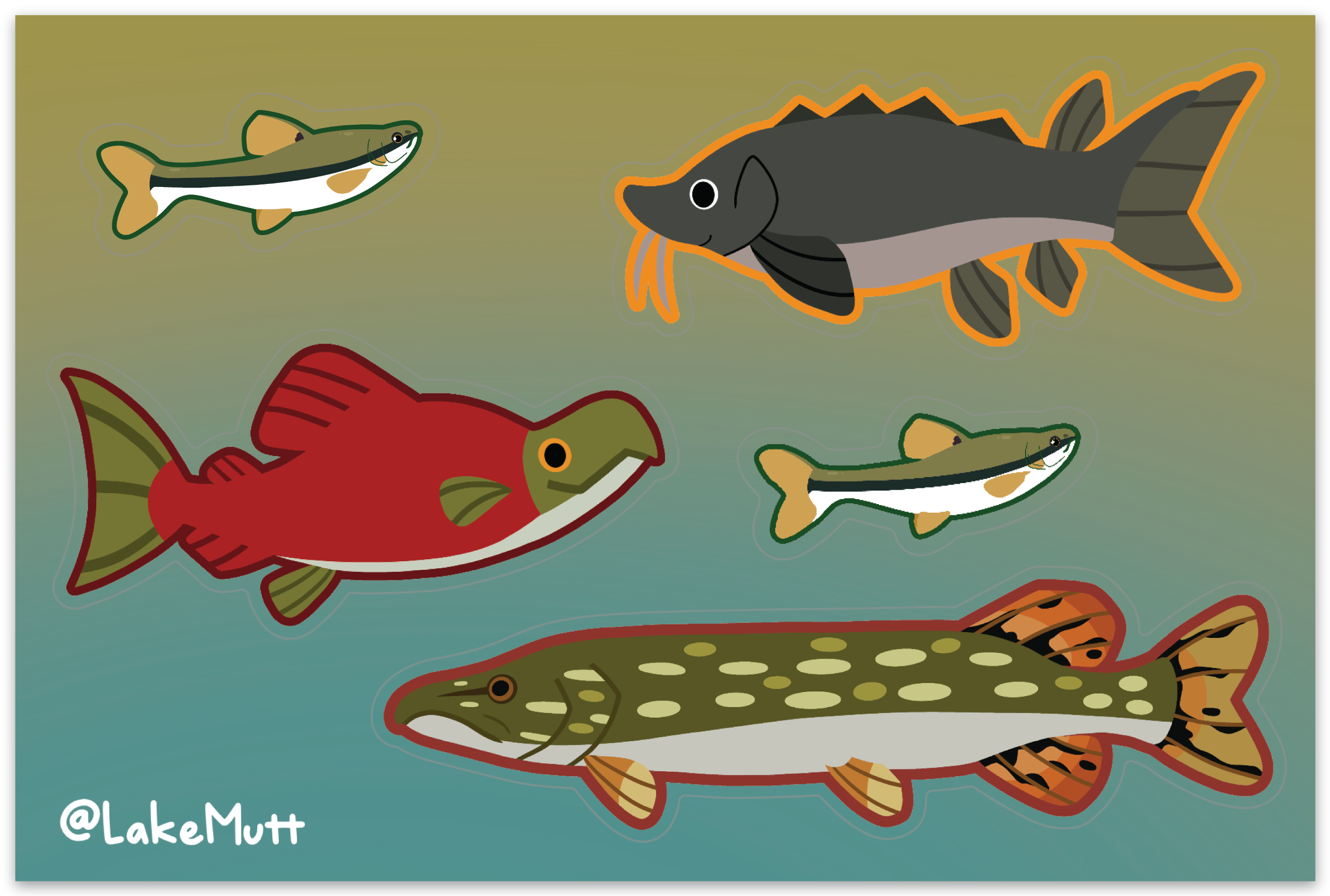 Fish Collection