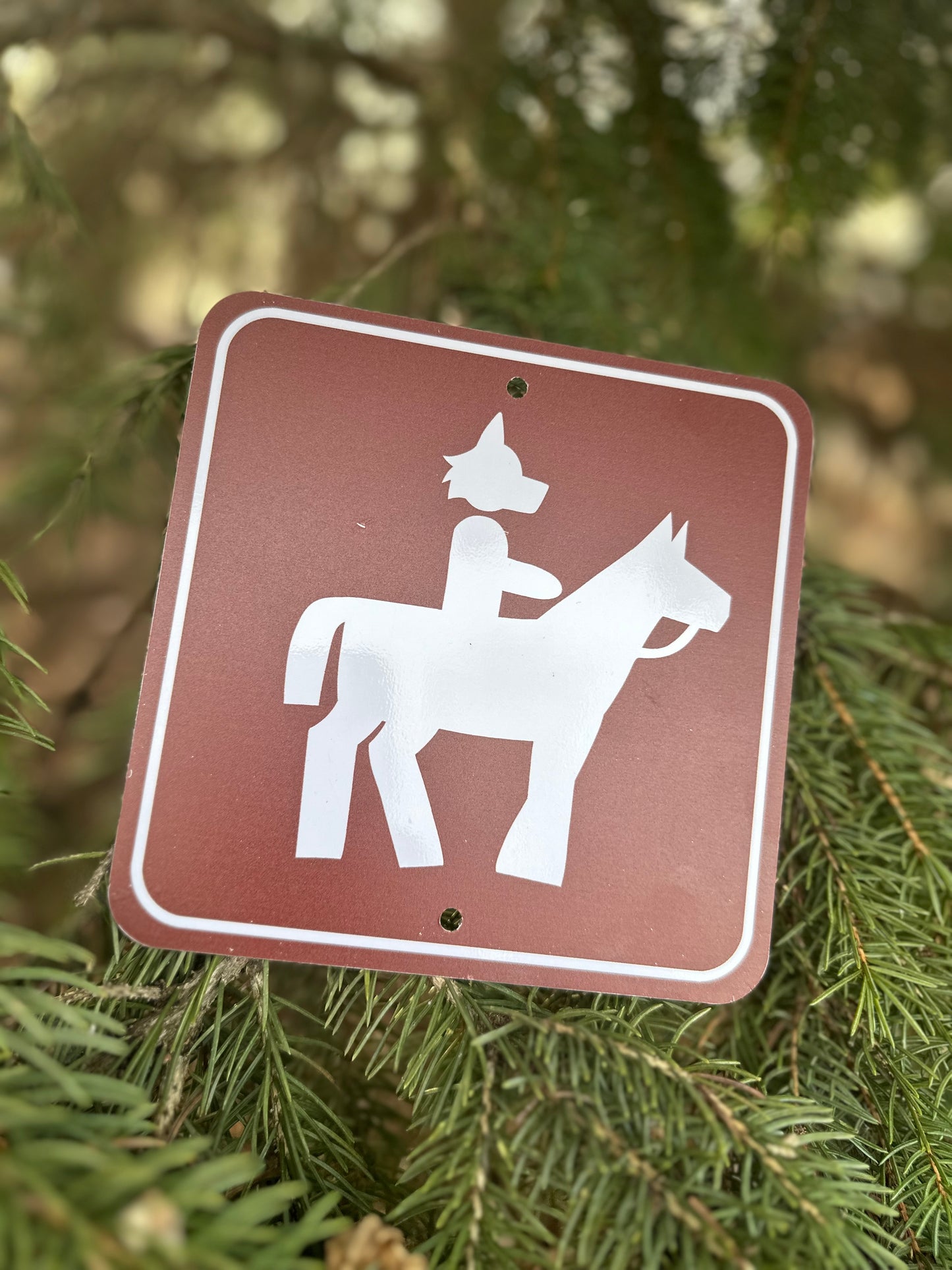 Horse Trails Metal Sign