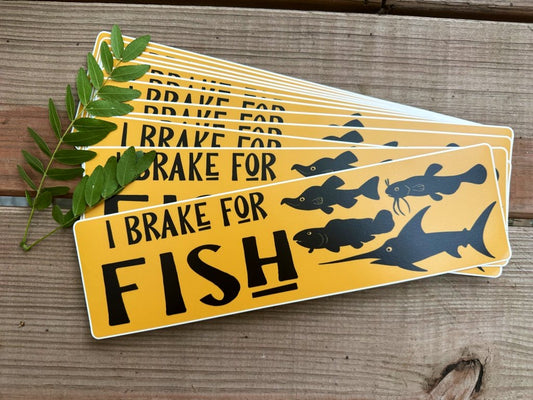 I brake for Fish Bumper Sticker